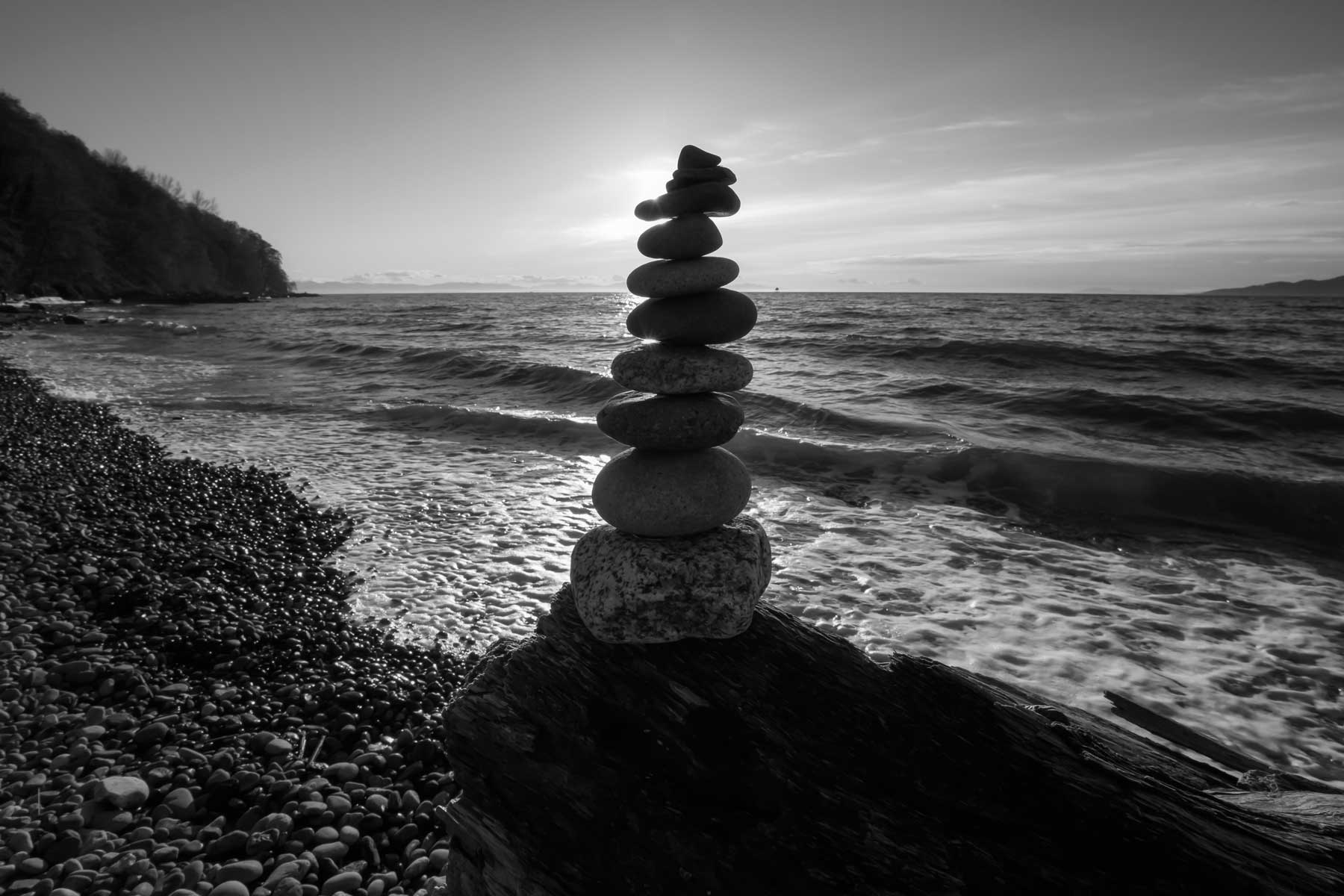 video purpose coaching homepage
